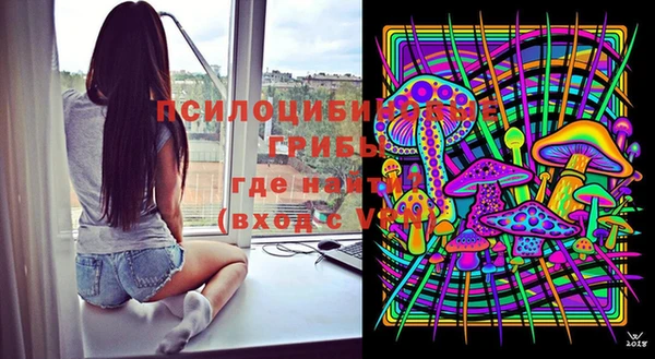 первитин Осинники